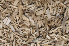 biomass boilers Foxendown