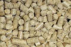Foxendown biomass boiler costs